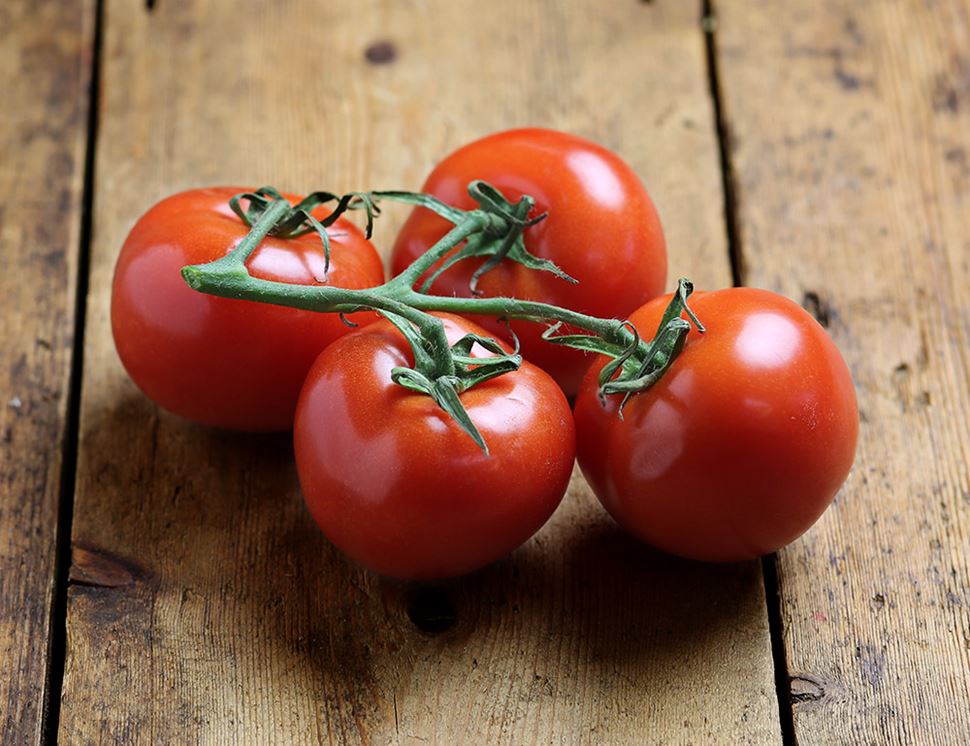 jellycat vine tomatoes
